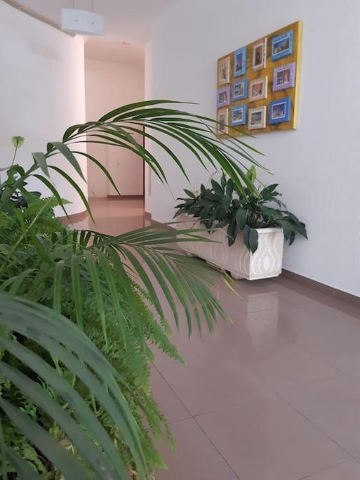 Apartamento Batalha - Quarteira, Algarve, Portugal 외부 사진