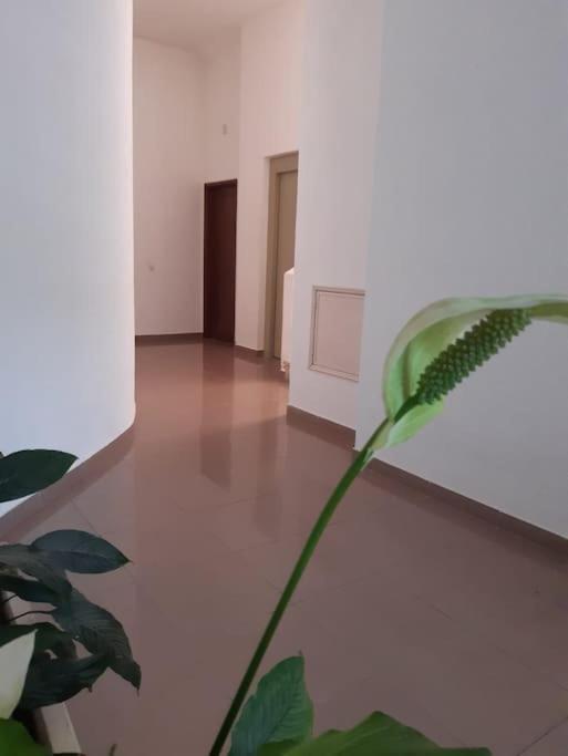 Apartamento Batalha - Quarteira, Algarve, Portugal 외부 사진